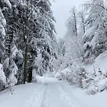 Kopytko * Bielsko-Biała