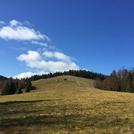 Kopytko * Bielsko-Biala