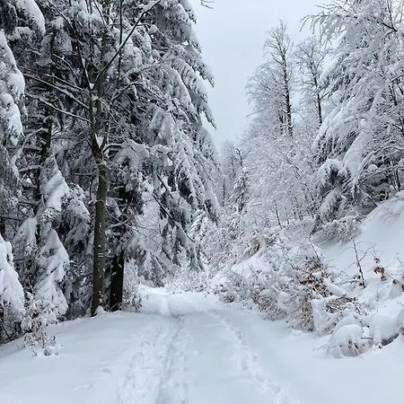 Kopytko * Bielsko-Biala