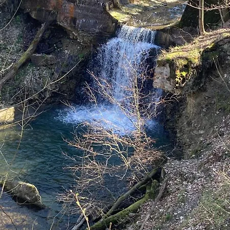 Апартаменты Kopytko Бельско-Бяла