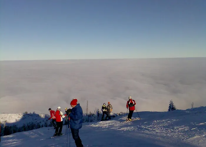 Kopytko ביילסקו-ביאלה