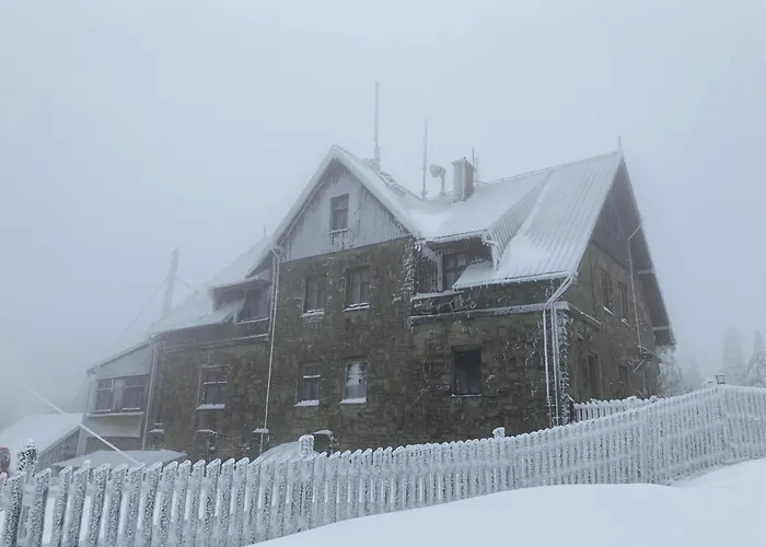 Kopytko ביילסקו-ביאלה