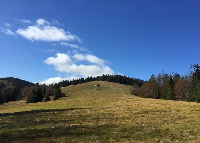 Kopytko * Bielsko-Biała