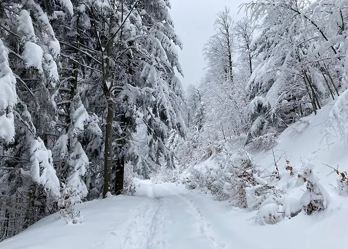 Kopytko * Bielsko-Biała