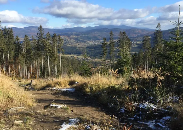 Apartamento Kopytko *