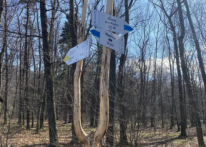 Kopytko * ביילסקו-ביאלה